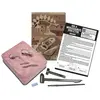 Image de 4m Kit De Laboratoire Kidzlabs/dig A Mosasaurus Skeleton