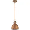 Image de Westinghouse Lighting 6103840 Suspension E27 Acier Cuivre lavé