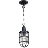 Image de Westinghouse Lighting 6334840 Luminaire suspendu d'extérieur Crestview à une lampe, finition en noir texturé avec verre granuleux clair