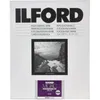 Image de Ilford Papier photo Multigrade V RC Deluxe 24x30,5 cm 50 feuilles - Perlé
