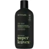 Image de Attitude Super Leaves Men Versterkende 2-In-1 Shampoo & Conditioner