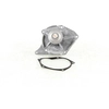 Image de QUINTON HAZELL Pompe à eau pour RENAULT: Kangoo, Clio, Captur, Twingo, Mégane, Symbol - Thalia, Scénic, Thalia, Modus, Laguna, Fluence (Ref: QCP3629)