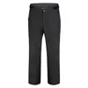 Image de Dare2b Pantalon de Ski Ream Salopettes Homme Black FR: S (Taille Fabricant: S)