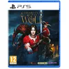 Image de Chronicles of the Wolf PlayStation 5