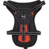 Image de Harnais Kelso Rouge M 34-50CM 20MM