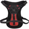 Image de Harnais Kelso Rouge XL 54-84CM 25MM
