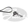 Image de Jeu de courroies trapézoïdales à nervures gates k016pk1390xs