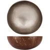 Image de Noya Bol Noix de coco, Feuille d'argent métallique, D14 cm
