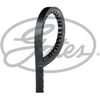 Image de Courroie d'accessoires gates 6477mc