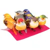 Image de Lot de 6 Oiseaux Multicolores sur Pince