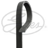 Image de Courroie d'accessoires gates 6dpk1195