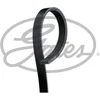Image de Courroie d'accessoires gates 4pk738