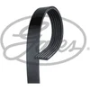 Image de Courroie d'accessoires gates 6pk803