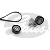 Image de Jeu de courroies trapézoïdales à nervures gates k016pk1503