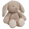 Image de Nattou Lapin avec lumière de nuit, peluches, peluches/polyester, 19 cm, Sleepy, beige