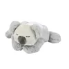 Image de Nattou Veilleuse LED Koala Bear, Projecteur de ciel étoilé, 3 couleurs LED, 5 sons et chansons, Peluche/Polyester, 26 cm, Gris