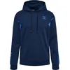 Image de hummel Sweat à capuche Hmlactive Co pour homme