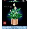 Image de LEGO® ICONS  11504