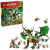Image de Lego Jeu De Construction Du Dragon De La Vie