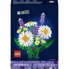 Image de LEGO® ICONS  11508