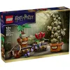 Image de LEGO® HARRY POTTER  76474 Kasteel Hogwarts kruidengeneeskunde planten