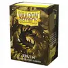 Image de Dragon Shield Protège-cartes Dual Matte Truth 100 Sachets