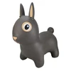 Image de Find That Hippo Lapin