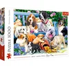 Image de Trefl - Chiens dans le Jardin - 1000 Pièces, Jouant, Banc, Rencontre, DIY Puzzle, Divertissement Créatif, Cadeau, Amusement, Puzzles Classiques