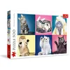 Image de Trefl, Puzzle, Chatons, 500 Pièces, Qualité Premium, pour Adultes et Enfants à partir de 10 ans