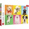 Image de Trefl, Puzzle, Chiens, 500 Pièces, Qualité Premium, pour Adultes et Enfants à partir de 10 ans