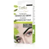 Image de Delia Cosmetics - Teinte à sourcils en poudre   Noir   Herbes naturelles et couleur   Sourcils accentués, assombris, épaissis   20 applications faciles / 4 semaines   Kit de traitement complet