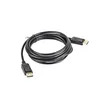 Image de lanberg env.-dpdp 10cc-BK DisplayPort 1.1 A 0030 (19 Broches) vers fiche DisplayPort (19 Broches) 4 K Câble 3 m Noir