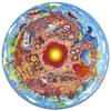 Image de Hape Puzzle Du Monde Souterrain