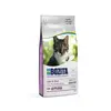 Image de BOZITA Hair & Skin - Nourriture sèche sans blé au Saumon - pour Chats Adultes Qui soutient Le Soin de la Peau et du Pelage - 10 kg