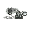 Image de SKF Pompe à eau + kit de courroie de distribution pour RENAULT: Kangoo, Clio, Twingo, Thalia, Modus, Wind & DACIA: Sandero, Logan (Ref: VKMC 06002)