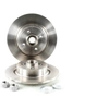 Image de SKF Disques de frein pour RENAULT: Scénic (Ref: VKBD 1009)