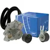 Image de SKF Kit pompe à eau et courroie de distribution VKMC 06220 - Hauteur : 171 mm - Longueur : 271 mm - Largeur : 142 mm - Qualité OE