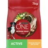 Image de Purina One - Croquettes Medium/Maxi > 10 kg Active Riche en Poulet pour Chien 7 kg