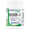 Image de Nutergia Ergyphilus Confort Capsules
