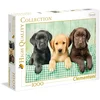 Image de Clementoni Puzzle Three Labs 1000