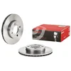 Image de 2 disques de frein brembo 09.5033.10