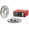 Image de 2 disques de frein brembo 09.5931.10