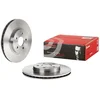 Image de 2 disques de frein brembo 09.8665.10