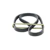 Image de DAYCO Courroie trapézoïdale à nervures pour RENAULT: Kangoo, Clio, Thalia & ROVER: 25, 200 Series, 400 Series, 45 & MG: MG ZR, MG ZS (Ref: 3PK755)