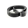 Image de DAYCO Courroie de distribution pour FIAT: Ulysse, Scudo & LANCIA: Phedra, Zeta & PEUGEOT: 307, 206, 806, 406, 407, 607, Expert, 807 (Ref: 94905)