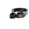 Image de DAYCO Courroie de distribution pour MITSUBISHI: Carisma (Ref: 94929)