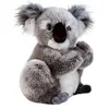 Image de Plush & Company - 05932 - Peluche - Koline Koala - 22 cm