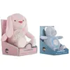Image de Creaciones Llopis Ours Musical Avec Boîte Lumineuse/pilas Teddy 20 Cm