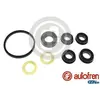 Image de AUTOFREN SEINSA Kit de réparation, maître-cylindre de frein pour BMW: Série 3, M3 (Ref: D1165)