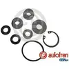 Image de AUTOFREN SEINSA Kit de réparation, maître-cylindre de frein pour RENAULT: Safrane, Laguna, Espace (Ref: D1434)